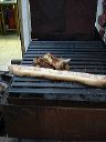 grill